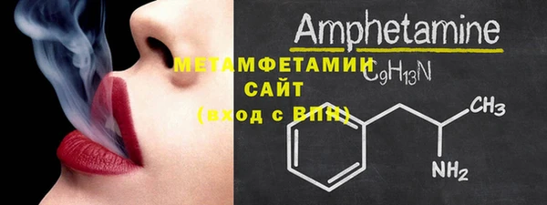прущие грибы Няндома