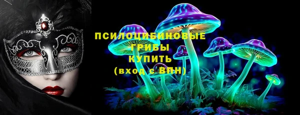 ГАЛЛЮЦИНОГЕННЫЕ ГРИБЫ Алексеевка