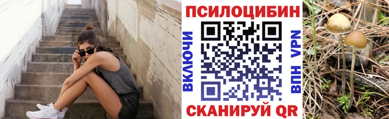 Псилоцибиновые грибы Magic Shrooms  сколько стоит  Игарка 